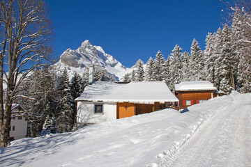 Winter in alps