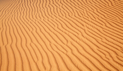 Red sand desert