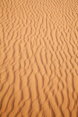 Red sand desert