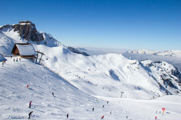 Fototapety na wymiar - Fototapeta24.pl