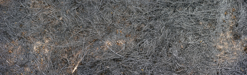 A plot of land covered with burnt dry grass