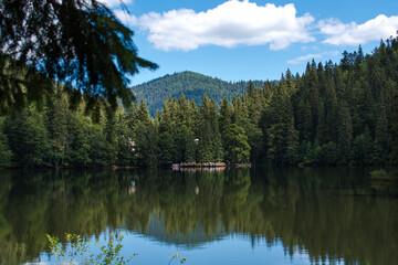 Fototapeta na wymiar Synevir lake in the mountains