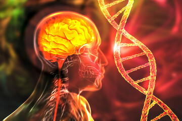 Genetic brain disorders, conceptual 3D illustration. Mutations in the DNA leading to brain diseases. Neurodegenerative disorders