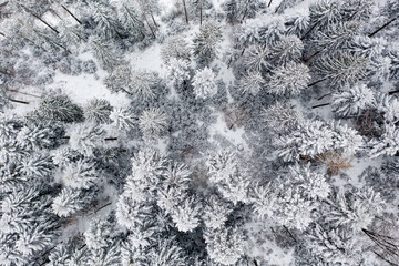 Allgemeiner Blick auf den Schwarzwald im Winter in der Nähe vom Kloster Allerheiligen, Ortenaukreis, Oppenau, Baden Württemberg, Deutschland