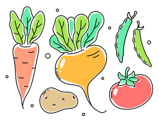 Vector set of illustration of vegetable. Turnip, tomato, potato, carrot, peas pod