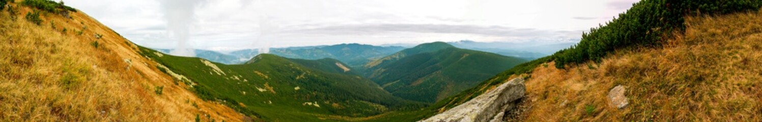 beautiful panorama with alpine pine and mountains under blue sky
