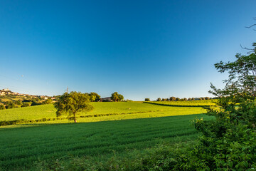 Beautiful sunrise in the countryside of Marche in a summer morning