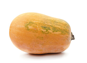 One ripe pumpkin.