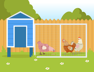 Hens walking outside and pecking seeds. Domestic birds near henhouse or chicken coop in summer flat vector illustration. Countryside, nature, farm, summer, agriculture concept © Bro Vector