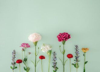 Creative flower arrangment. Spring flowers against mint green background. Minimal nature concept.