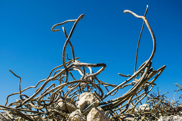 rusty wire, rusty barbed wire, old iron rods on a blue background, construction waste, iron recycling