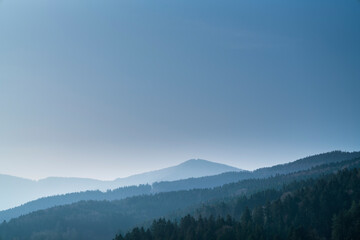 Germany, Black forest, Majestic endless forested mountains covered with conifer trees nature landscape panorama view with blue sky