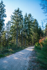 Fototapeta na wymiar Germany, Black forest nature landscape hiking trail in springtime perfect for hiking and walking through paradise like scenery