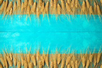 Jewish holiday Shavuot celebration concept with wheat ears on wooden blue table background