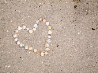 Heart from seashells