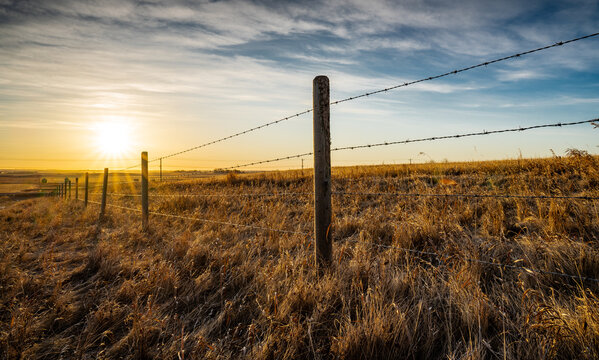 Barbed Wire Fence Farm Images – Browse 14,240 Stock Photos, Vectors, and  Video | Adobe Stock