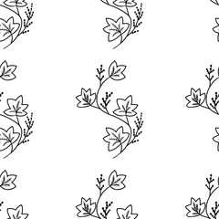 calumba, seamless b-w dd ww herb isol