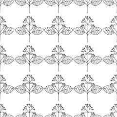 quina, seamless b-w dd ww herb isol