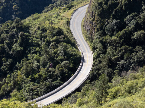 Road and S-shaped bridge surrounded by forest. Upper view