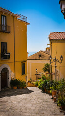 steps in the historic center of Salerno, Italy. sea, plants, statue