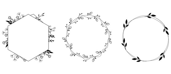 Beautiful Botanical Frame Vector set, illustration