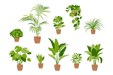 Collection home plants. Potted plants isolated on white. Vector set green plants. Trendy home decor with indoor plants, planters, tropical leaves. Flat. - obrazy, fototapety, plakaty