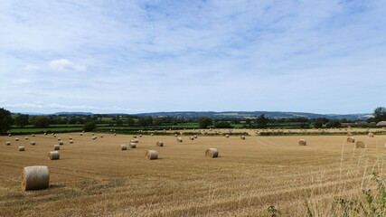Straw bales in the summertime.