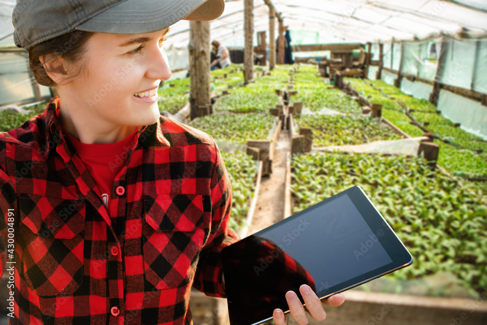 Wall mural Farmer with a tablet in a greenhouse. Smart farming