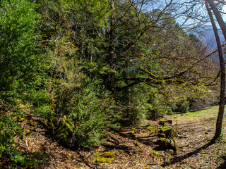 walk through the national park of ordesa and lost mountain