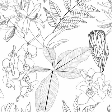 Exotic protea orchid flowers and palm leaves illustration. Black white line seamless pattern. White background.