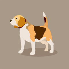 vector image of a beagle dog