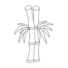 Bamboo vector outline icon. Vector illustration tree on white background. Isolated outline illustration icon of bamboo.