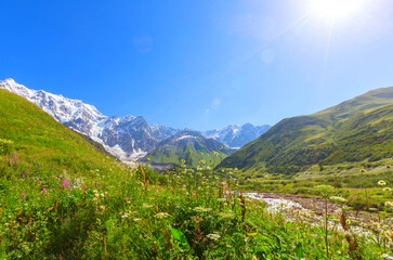 Mountains meadow