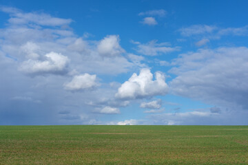 Fototapeta na wymiar white clouds in a blue sky over a green field. beautiful spring landscape
