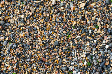 Stone beach. Sea pebbles. Pebbles.