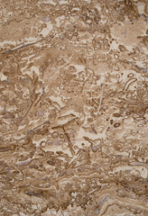 New beige polish travertine closeup