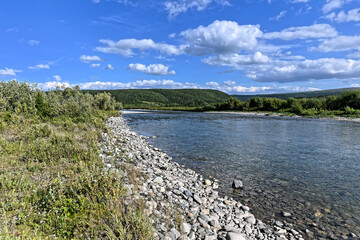 Northern river on a sunny summer day.