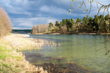 Spring trees are reflected in the lake against the blue sky. Blossoming pussy willow Easter twigs.