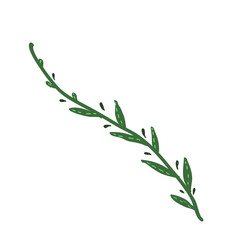 Stylized decorative green twig. Vector illustration.