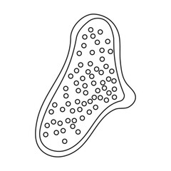 Fig vector outline icon. Vector illustration slice fruit on white background. Isolated outline illustration icon of fig.