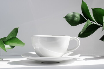 White tea or coffee mug and saucer, on a white table in the rays of the sun, with hard shadows, green leaves of a home plant. Copy space