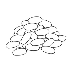 Cocoa bean vector outline icon. Vector illustration cacao on white background. Isolated outline illustration icon of cocoa bean .