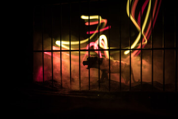 Silhouette of a tiger miniature standing in a zoo cage dreams of freedom. Creative decoration with...