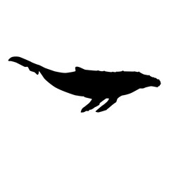 Humpback whale isolated black silhouette. Marine animal. White background. Vector illustration clipart.