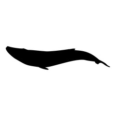 Blue whale isolated black silhouette. Marine animal. White background. Vector illustration clipart.