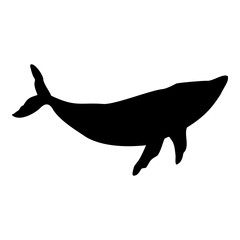 Blue whale isolated black silhouette. Marine animal. White background. Vector illustration clipart.