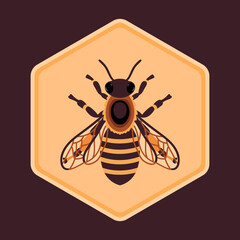 Vector honey bee in honeycomb cell. Queen bee icon. Vector flat illustration.
