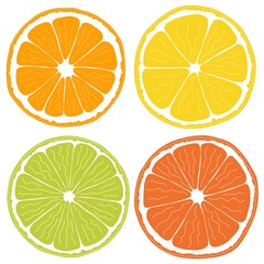 Obraz premium citrus fruits isolated on white background