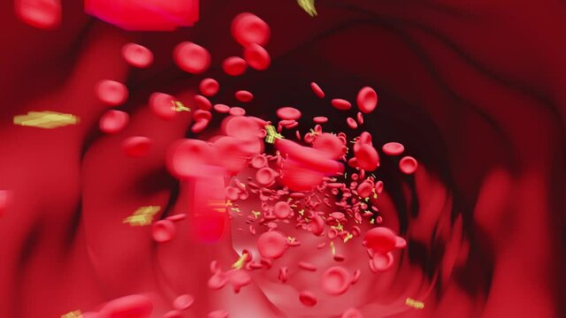 Blood Vessel: Red Blood Cells with Antibodies