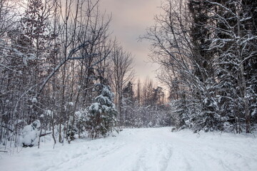 Fototapeta premium Beautiful snowy winter landscape panorama with sun.
